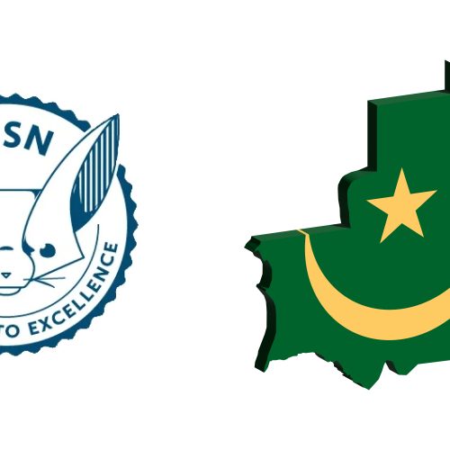 American International School Nouakchott (AISN)